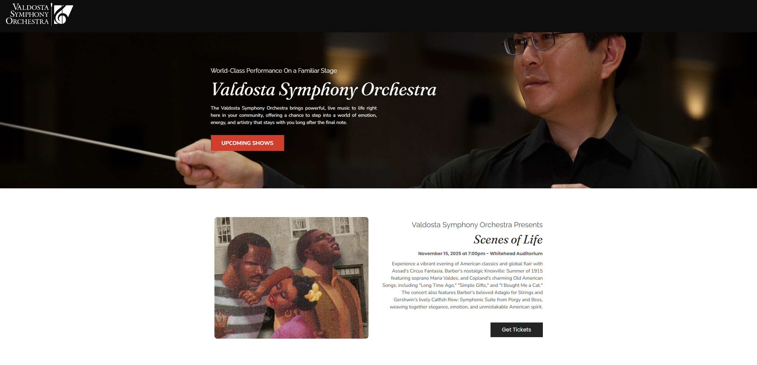 Valdosta Symphony Orchestra Website Screenshot 1