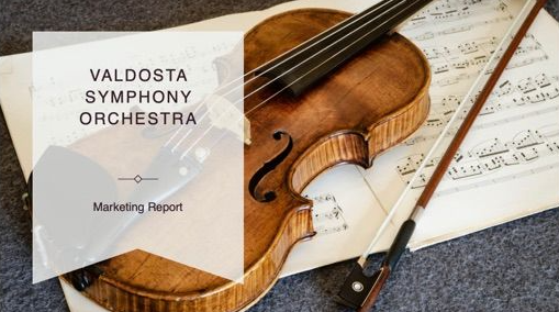 VSO Marketing Report Cover